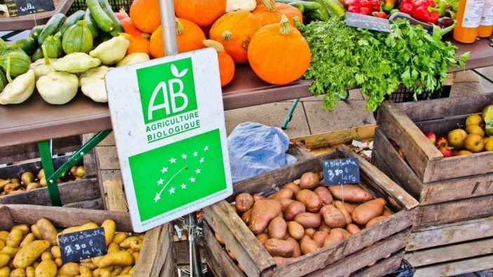 Les bonnes raisons de manger des fruits et légumes bio